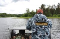 Подробнее...