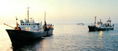 b_240_240_16777215_0_0_images_news_2014_07_10005.png