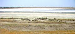 b_240_240_16777215_0_0_images_news_2015_06_17002.png