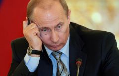 ПТЕНЕЦ ИЗ ГНЕЗДА ЕЛЬЦИНА ПТЕНЕЦ ИЗ ГНЕЗДА ЕЛЬЦИНА